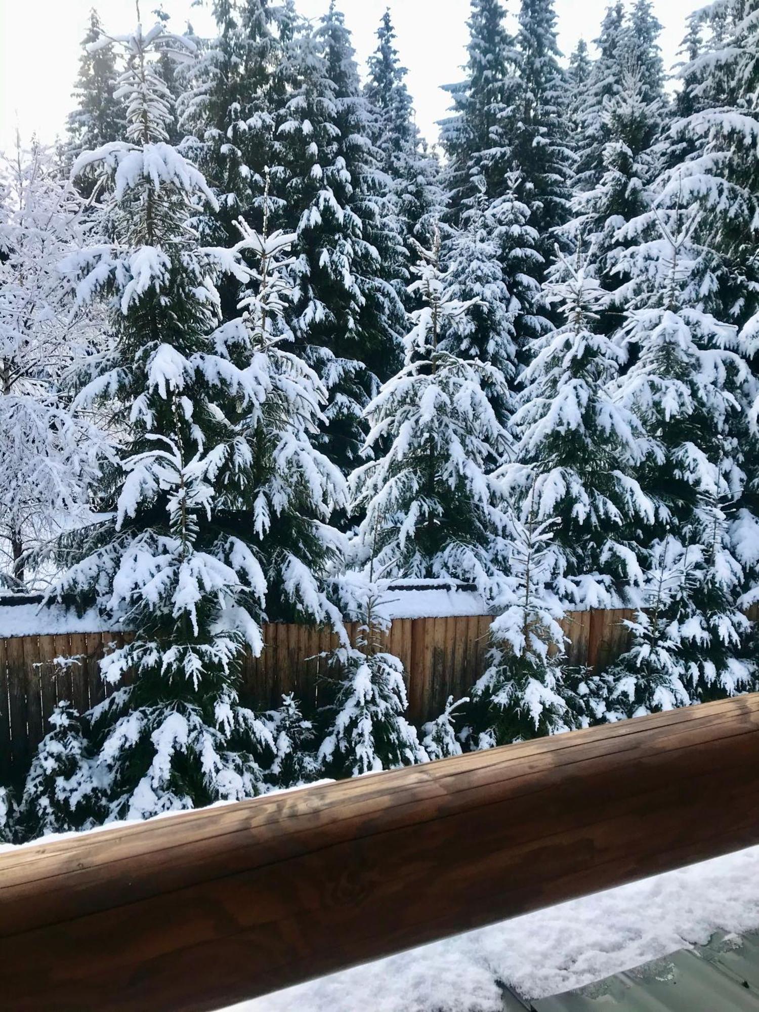 Cottage Polyanitsa Окремий Котедж З Каміном Буковел Екстериор снимка