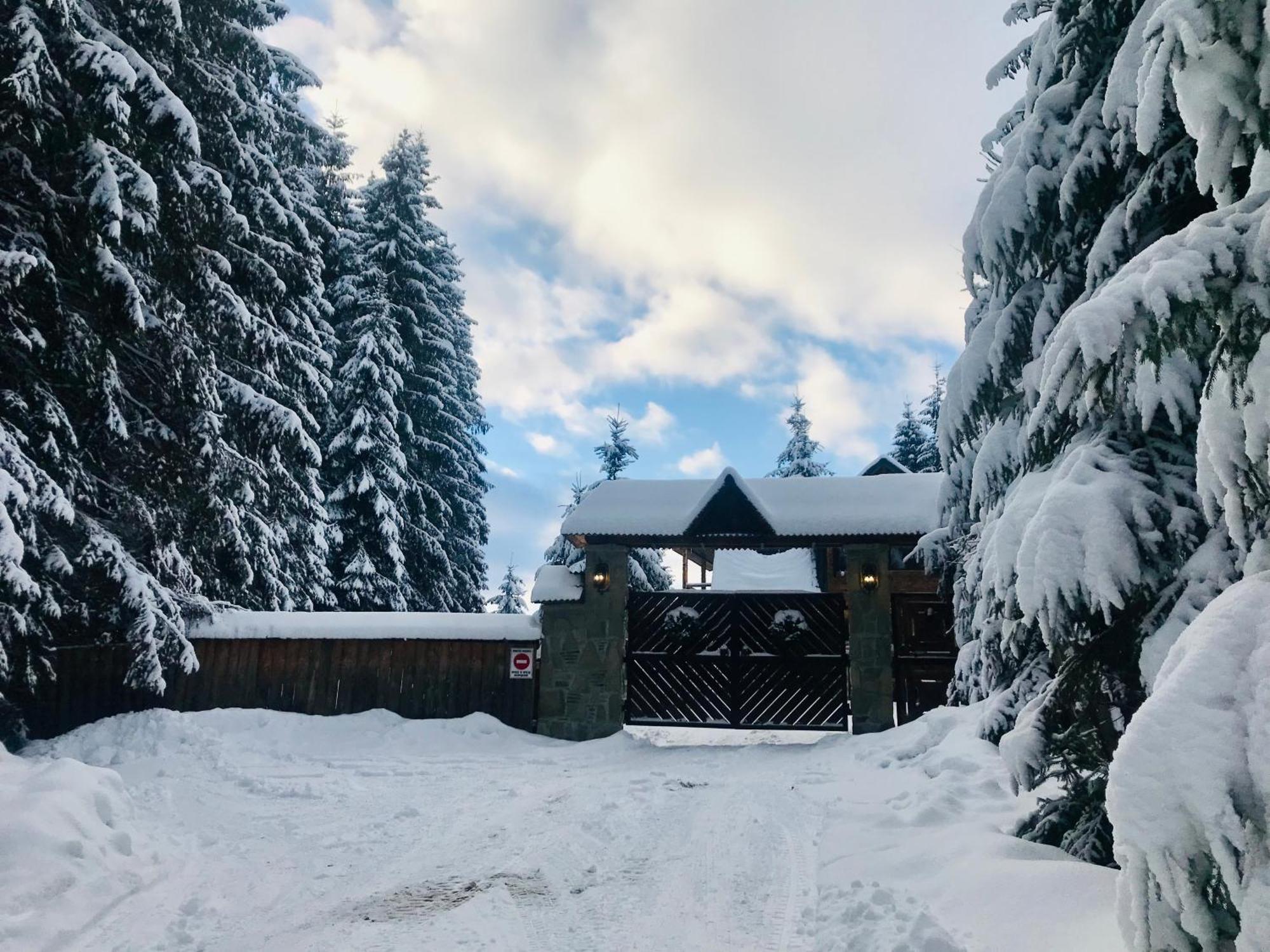 Cottage Polyanitsa Окремий Котедж З Каміном Буковел Екстериор снимка